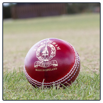 Junior/Colt Cricket Balls