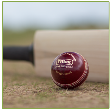 Cricket Balls - Men