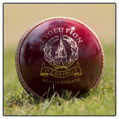 Oxbridge Evolution Cricket Ball