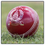 Oxbridge Magna Cricket Ball - Red