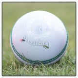 Oxbridge Magna Cricket Ball - Various Colours