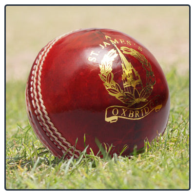Oxbridge St. James Cricket Ball